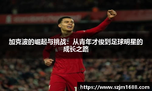 ng电子游戏官网